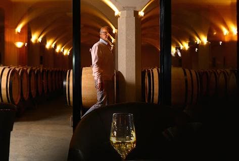 Foto della tenuta - Henri Boillot