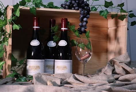 Jacques-Frédéric Mugnier - 1