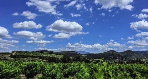 Photo principale du domaine