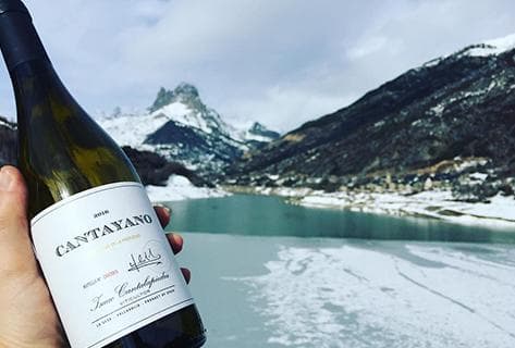 Cantalapiedra Viticultores - 4