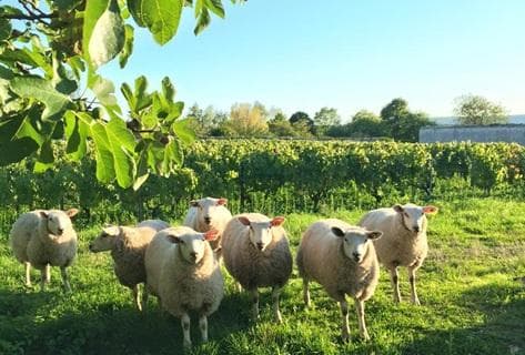 Château de Béru - 3