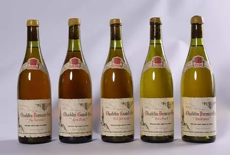 Vincent Dauvissat - 1