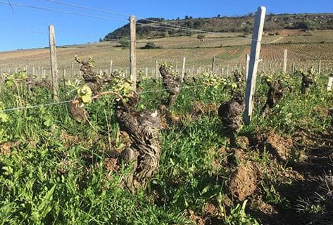 AMI (Willy Roulendes et Paul Perarnau) - 3