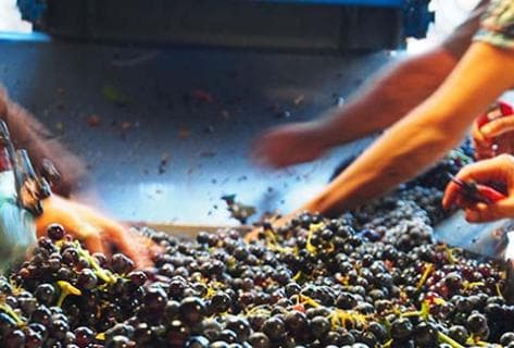 Ferme Saint-Martin - 2