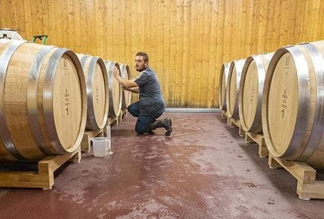 Terra Vita Vinum - 3