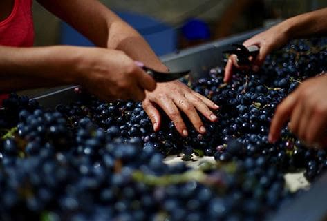 Château de Roquefort - 2