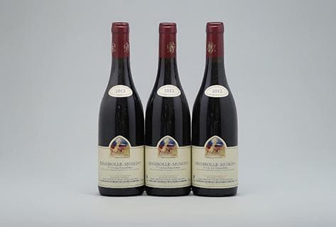 Domaine Georges Mugneret-Gibourg - 1