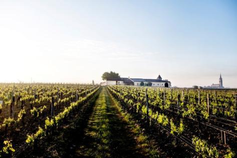 Clos l'Église (Pomerol) - 3