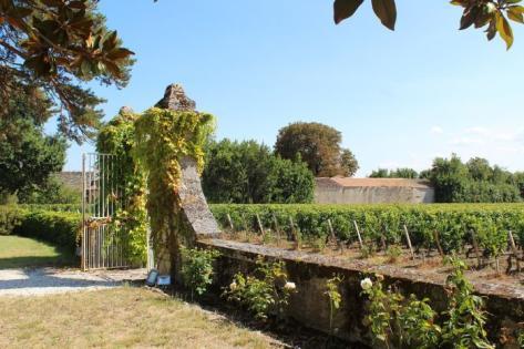 Château Greysac - 4