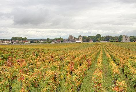 Foto della tenuta - Geantet-Pansiot