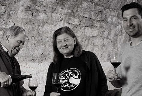 Foto della tenuta - Laroque d'Antan (Domaine)