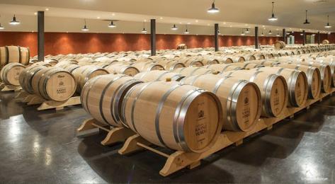 Château de Rayne Vigneau - 4