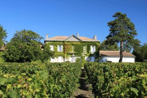 Foto della tenuta - Château Greysac