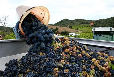 Clos des Fées - 3