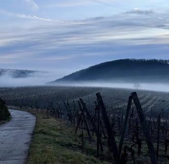 Domaine Camille Braun - 4