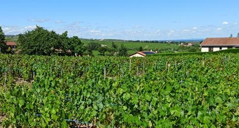 Photo principale du domaine