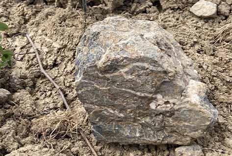 La Ferme du Mont Benault - 3