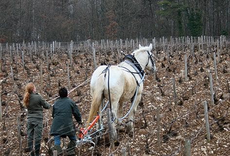 Photo of partner producer Elise Dechannes