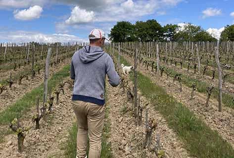 Foto della tenuta - La Ferme du Mont Benault