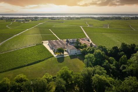 Château Grand Puy Lacoste - 1