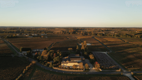 Foto della tenuta - Château Ampélia