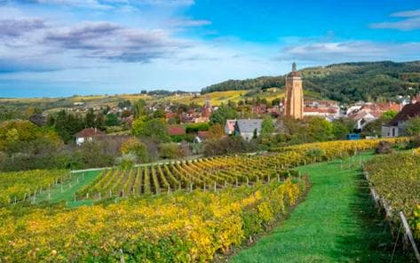 Photo principale du domaine