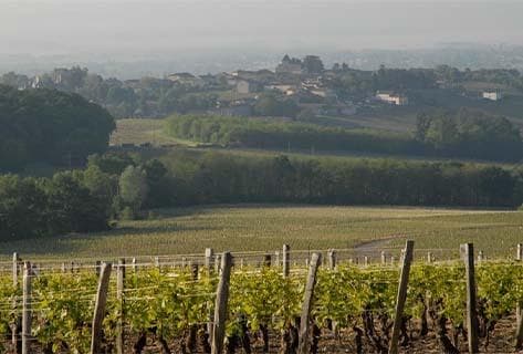 Dominique Cornin - 3