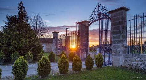 Château de Rayne Vigneau - 2