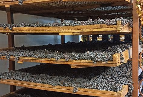 Giuseppe Quintarelli - 2