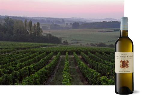 Château les Charmes-Godard - 2
