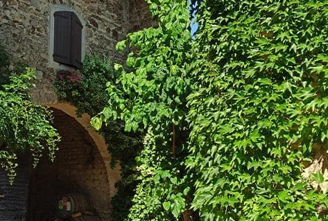 Louis-Claude Desvignes - 3