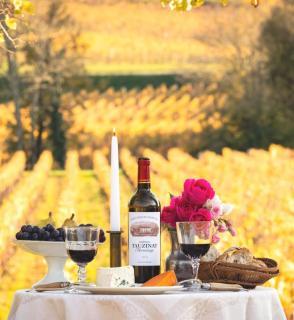 Château Tauzinat-l'Hermitage - 3