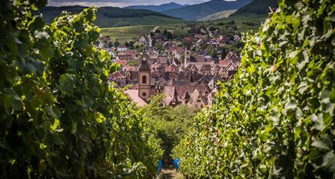 Photo principale du domaine