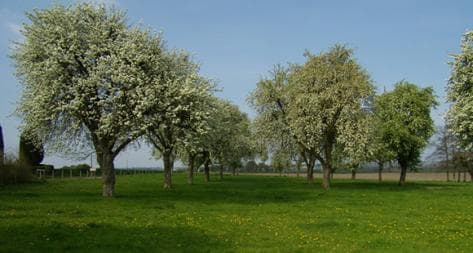 Photo principale du domaine