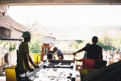 Domaine Camille Braun - 3