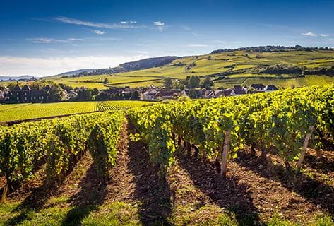 Les Vins de Belema - 3