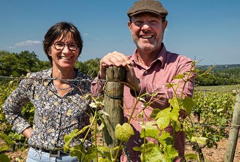 Foto des Partnerweinguts Terra Vita Vinum