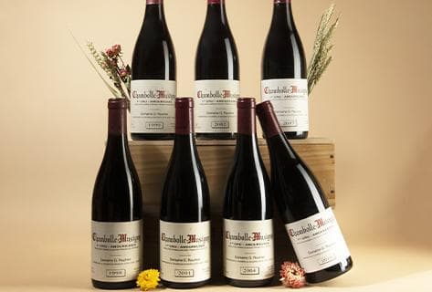 Georges Roumier - 4