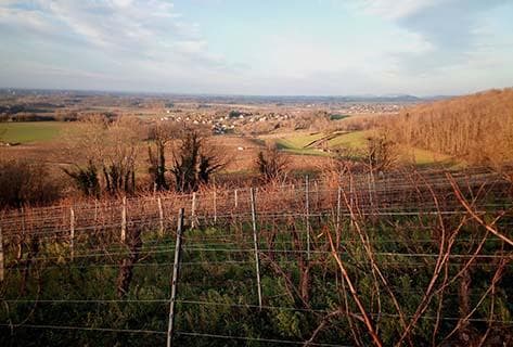 Guillaume Overnoy - 3