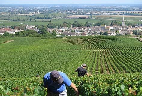 Vincent Bouzereau - 2