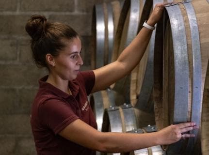 Domaine Les Monts Fournois - 1