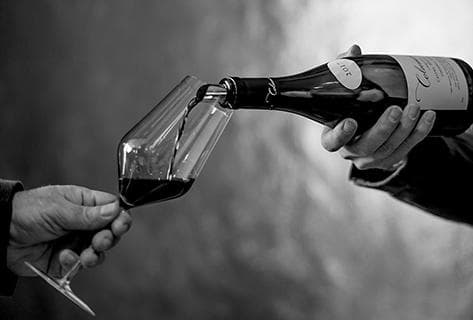 The Sadie Family - 1