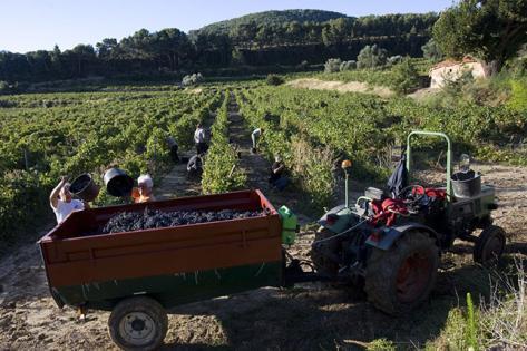 Domaine de La Garenne - 4