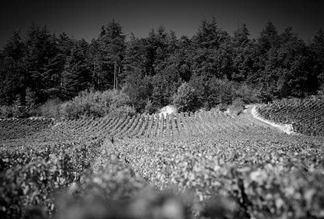 Photo du domaine partenaire Belleville