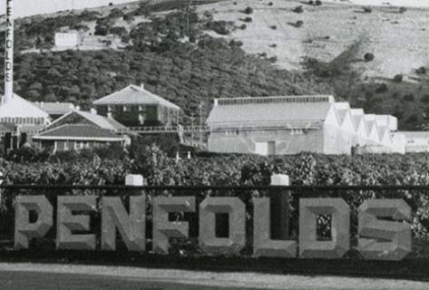 Penfolds - 2