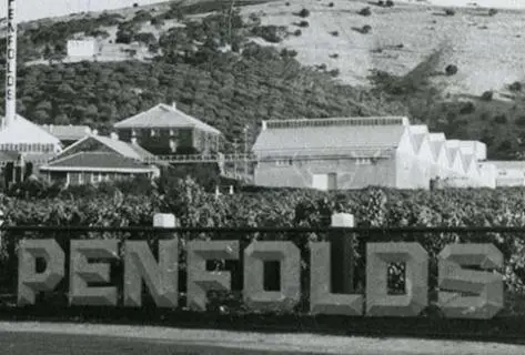 Penfolds - 2