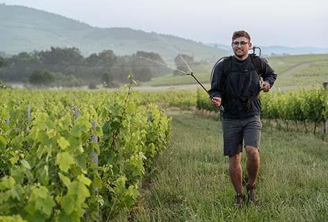 Domaine Les Garçons - 2
