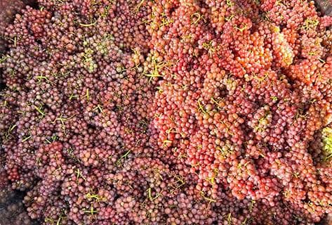 La Grange de l'Oncle Charles - 2