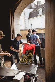 Domaine Rougeot - 4
