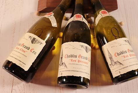 Vincent Dauvissat - 2